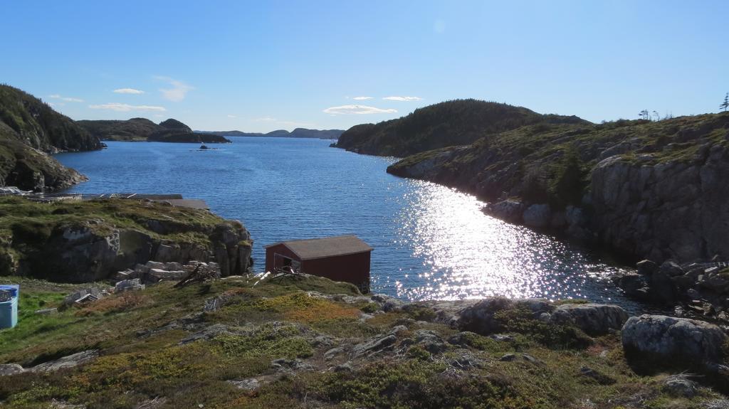 The Old Salt Box Co. - Daisy'S Place Herring Neck Kültér fotó
